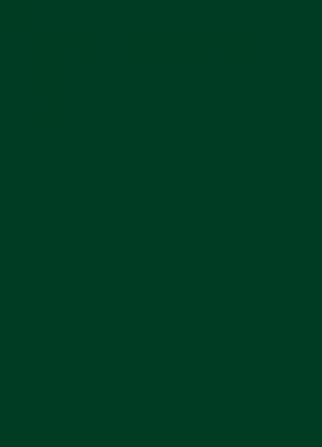 Фасады Фасад из акрила 060 Dark Green (Темно-зеленый) на заказ в Джанкое фотография