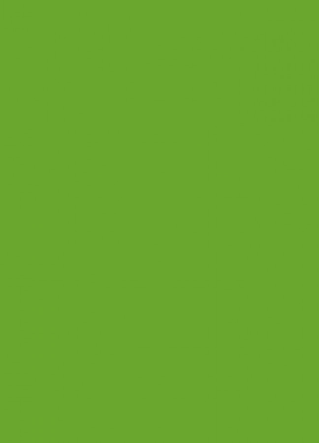 Фасады Фасад из акрила 063 Lime-tree green (Липово-зеленый) на заказ в Джанкое Фасады Фасад из акрила 063 Lime-tree green (Липово-зеленый) на заказ в Джанкое фотография