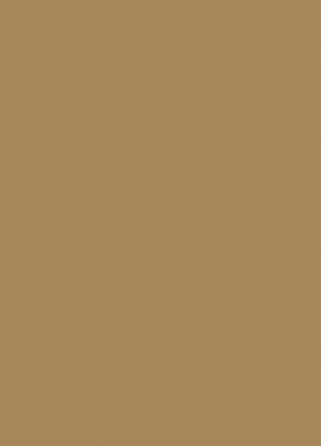 Фасады Фасад из акрила 081 Light brown (Светло-коричневый) на заказ в Джанкое Фасады Фасад из акрила 081 Light brown (Светло-коричневый) на заказ в Джанкое фотография