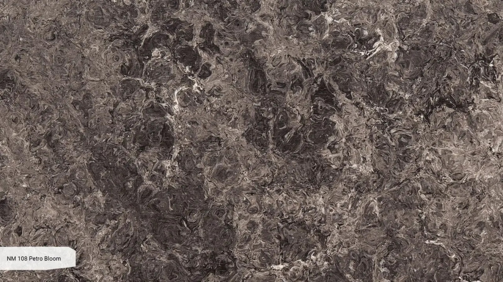 Black Brownie фотография